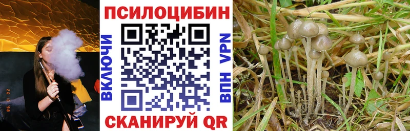 Галлюциногенные грибы мухоморы  Баксан 
