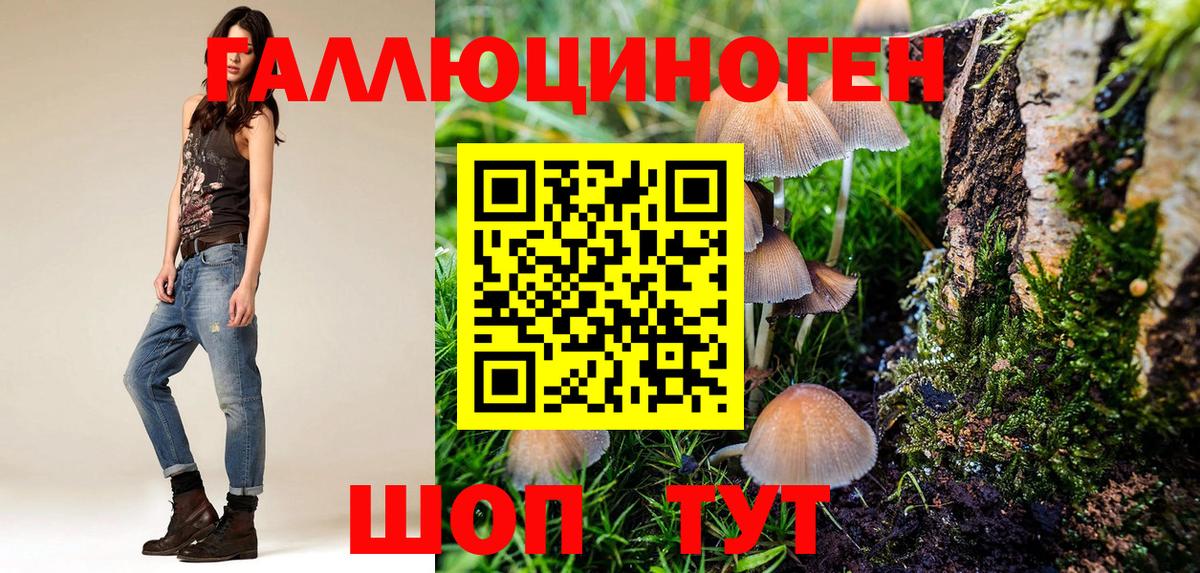 Галлюциногенные грибы мухоморы Баксан