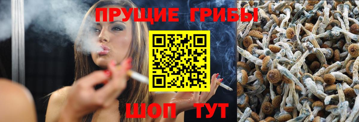 Псилоцибиновые грибы прущие грибы Баксан