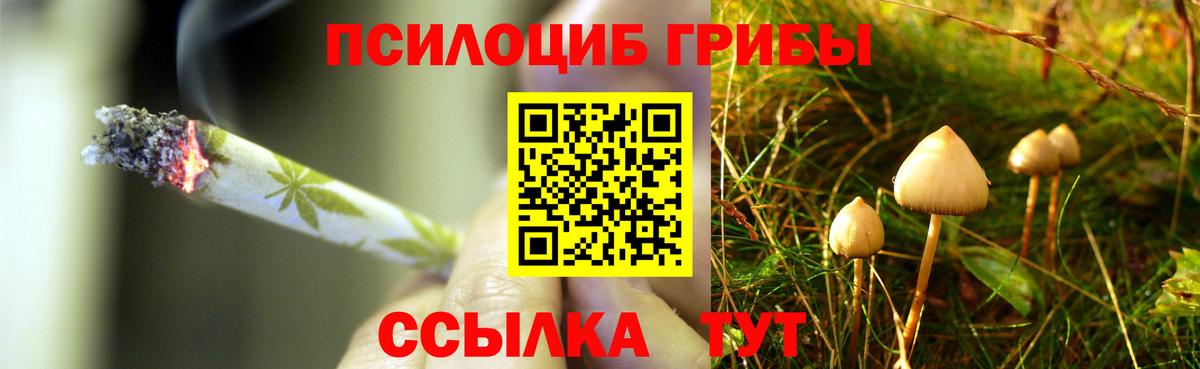 Галлюциногенные грибы Psilocybine cubensis  Вход с VPN  Баксан 