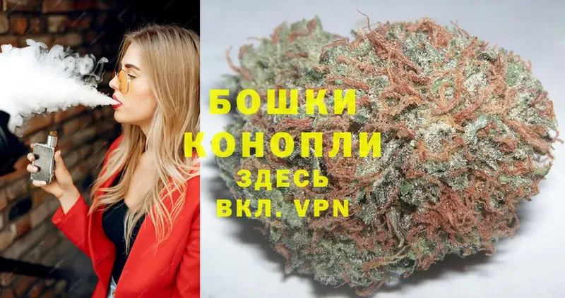 где купить   Баксан  Бошки марихуана THC 21% 